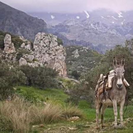 Traditional Cretan House Lithostrati Karidi Village Exterior photo