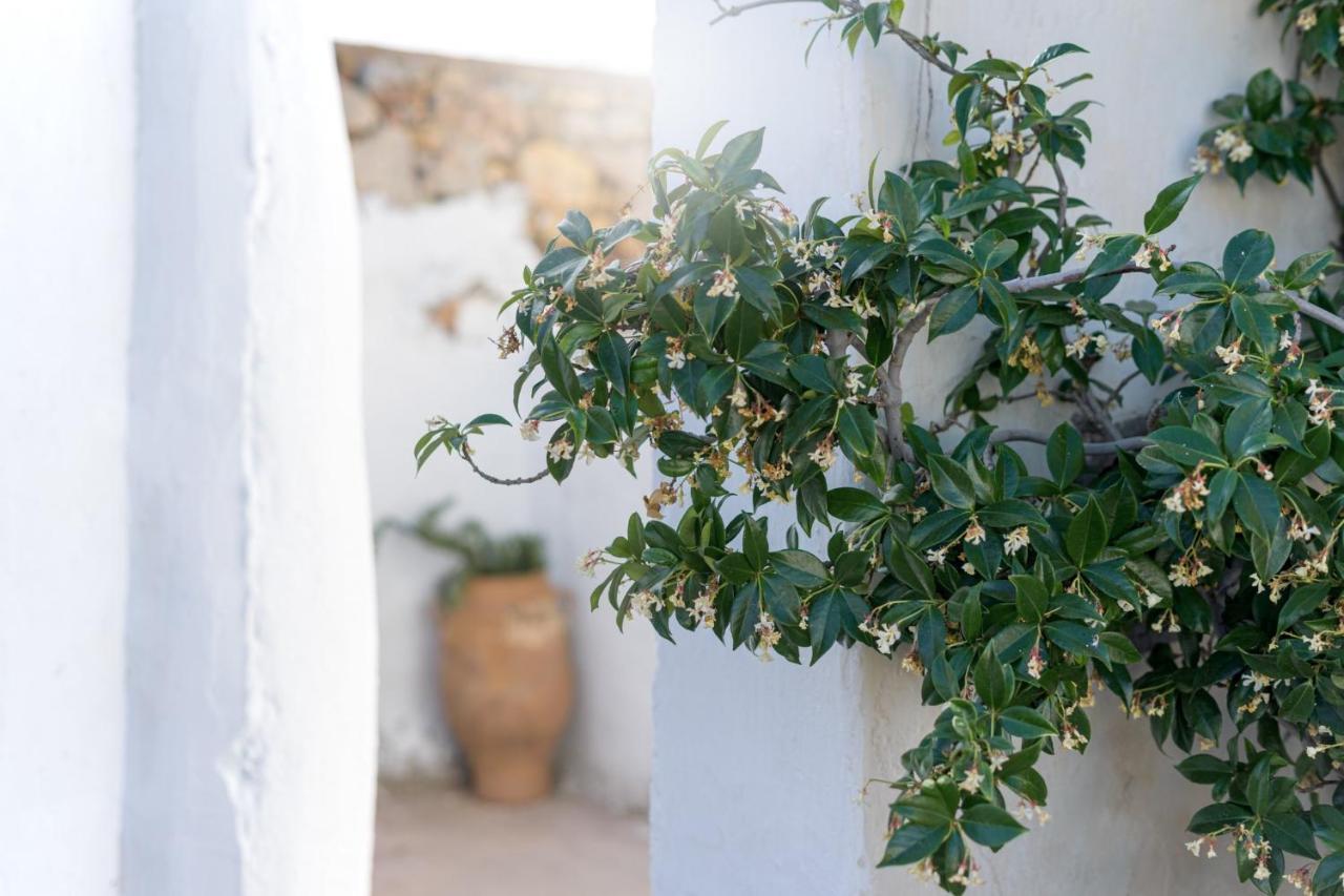 Traditional Cretan House Lithostrati Karidi Village Exterior photo