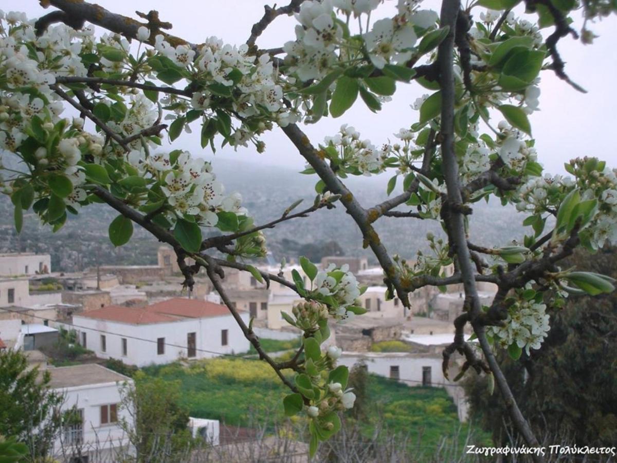 Traditional Cretan House Lithostrati Karidi Village Exterior photo